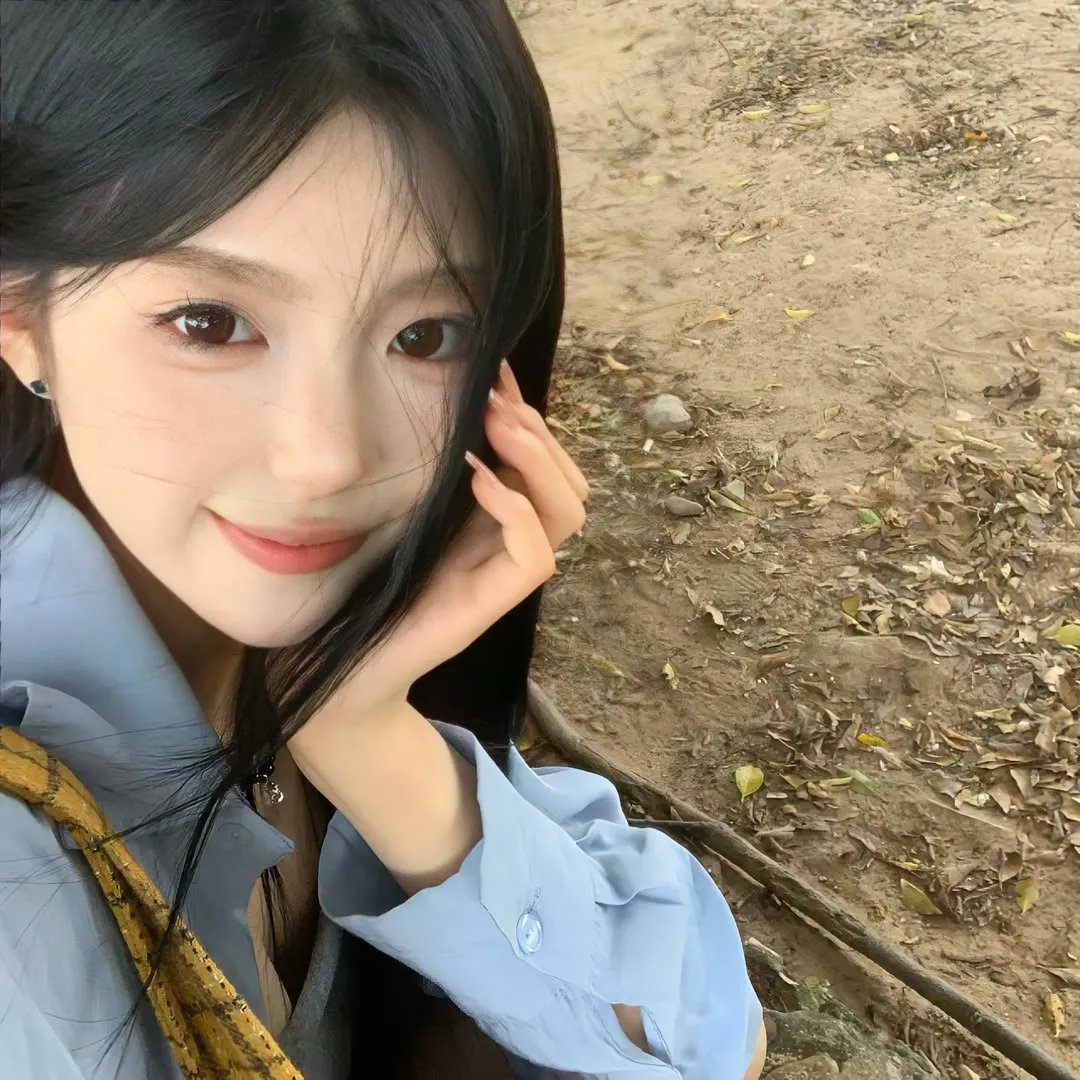 鹬